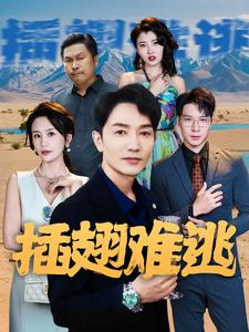 插翅难逃（43集）观看软件