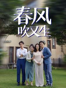 春风吹又生（56集）短剧演员排行榜