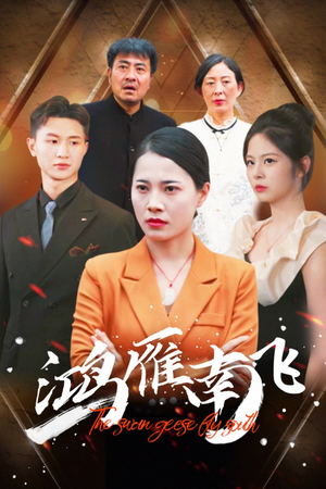 鸿雁南飞（64集）免费在线看