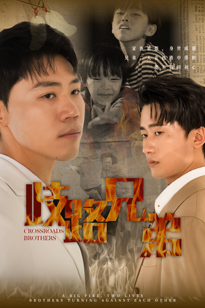 歧路兄弟（63集）免费观看就是爽