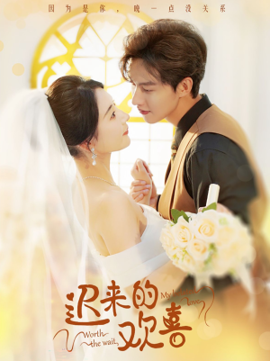 迟来的欢喜（81集）免费短剧看全集