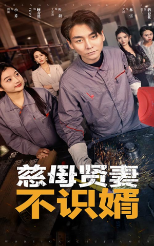 慈母贤妻不识婿（45集）精彩短剧又来了