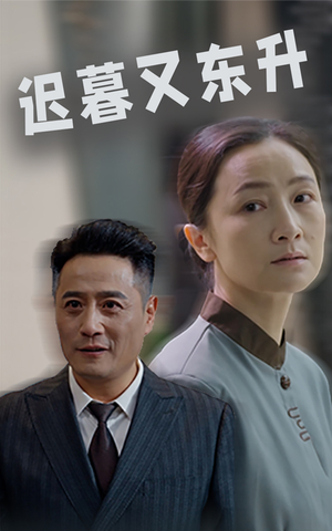 迟暮又东升（35集）让你一口气看完