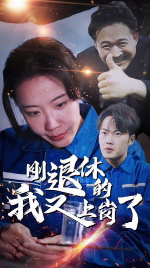 刚退休的我又上岗了（30集）全集下载