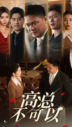 高总不可以（45集）无需充值尽情看