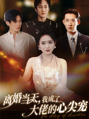 离婚当天，我成了大佬的心尖宠（60集）新短剧推荐