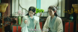 双花镜（20集）看到了大结局