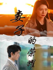 妻子的荣耀（40集）独家内容免费看