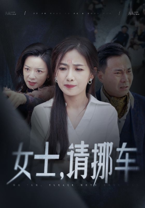 女士请挪车＆善门难开（29集）这部短剧太好看
