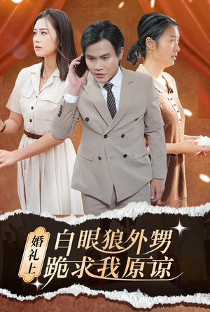 婚礼上白眼狼外甥跪求我原谅（35集）正能量短剧分享