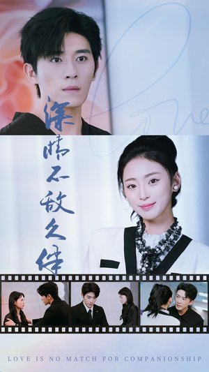 深情不敌久伴（50集）免费看全集