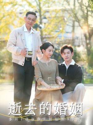 逝去的婚姻（60集）短剧热门推荐