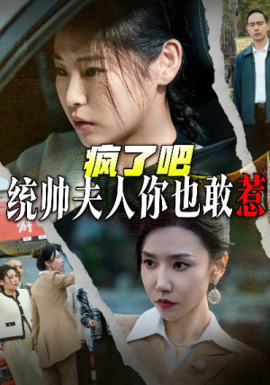 疯了吧统帅夫人你也敢惹（33集）最新上映免费看
