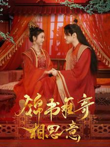 锦书难寄相思意（97集）热门短剧推广