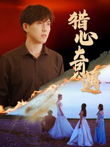 猎心奇遇（91集）在线观看完整版