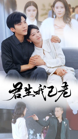 君生我已老（61集）360网盘观看