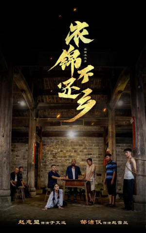 衣锦不还乡（69集）好看吗