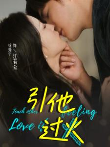 引他过火（40集）精彩连连免费看