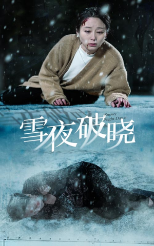 雪夜破晓（36集）在线播放