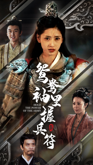 鸳鸯袖里握兵符（88集）好看吗