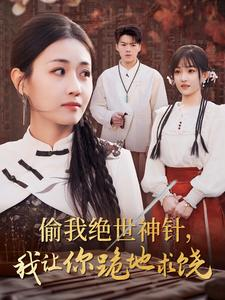 偷我绝世神针，我让你跪地求饶（30集）免费观看完整版