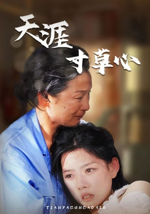 天涯寸草心（76集）好看短剧抢先看