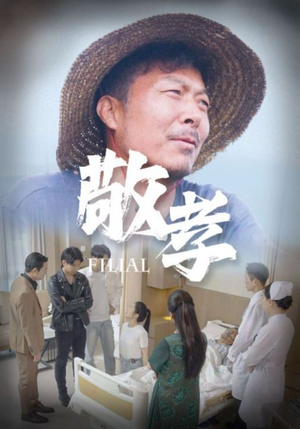 敬孝（61集）穿越短剧推荐