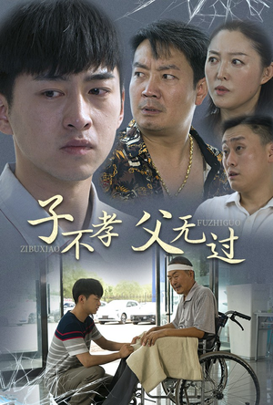 子不孝父无过（30集）免费短剧资源