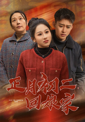 正月初二，回娘家（41集）精彩短剧来袭