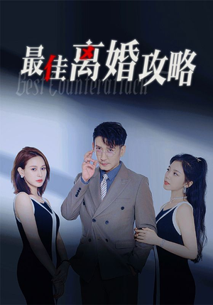 最佳离婚攻略（31集）完整版免费观看