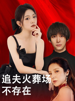追夫火葬场不存在（100集）红果免费看短剧