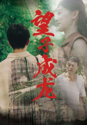 望子成龙（74集）精彩短剧热播中