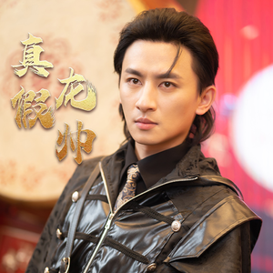 真假龙帅（81集）男主角是谁
