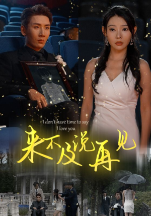 来不及说再见（30集）一共多少集