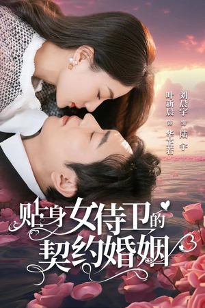 贴身女侍卫的契约婚姻（91集）温柔追捕短剧