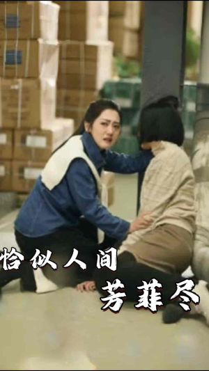 恰似人间芳菲尽（68集）全集在线看