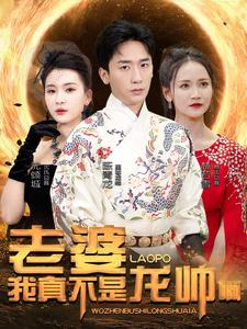 老婆我真不是龙帅啊（95集）剧情简介