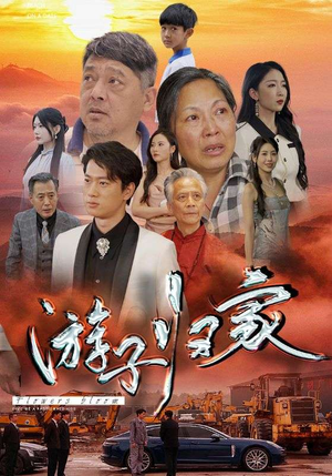 游子归家（88集）热播短剧推荐