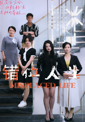 错位人生（89集）热门短剧在线看