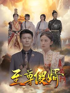 至尊傻婿（82集）第一季