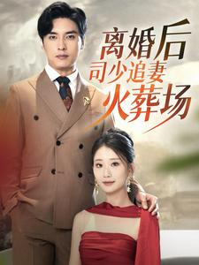离婚后司少追妻火葬场（87集）直接追到结尾