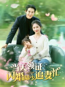 当天领证闪婚陆少追妻忙（80集）免费观看就是爽
