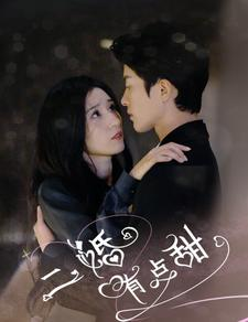 二婚有点甜（88集）在哪里看