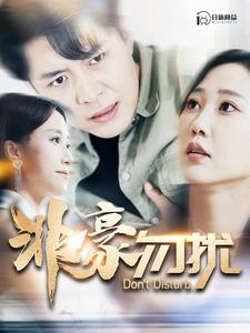 非豪勿扰（100集）360网盘观看