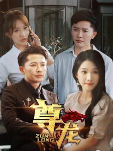 新版：尊龙（97集）排行榜前十短剧