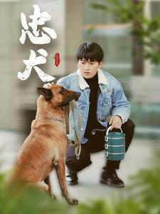 忠犬（34集）最后的大结局