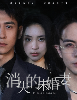 消失的未婚妻（82集）360网盘观看