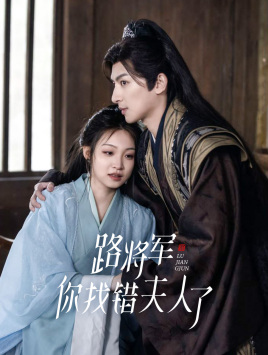路将军，你找错夫人了（81集）全部免费看全集
