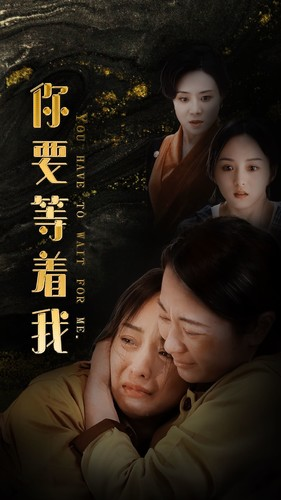 你要等着我（85集）热门短剧排行榜