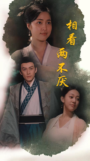 相看两不厌&这个王妃不好惹（85集）免费在线看全集